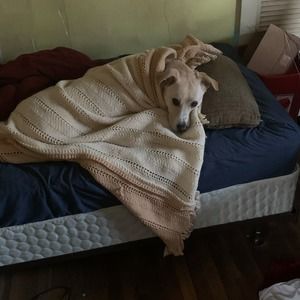 Meet your Posher, Christopher